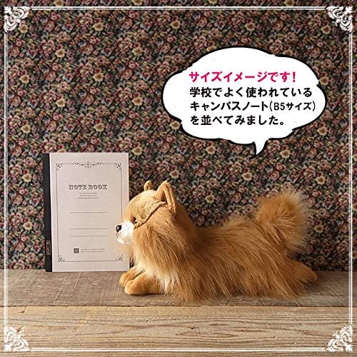 Ninian and Kino Plush Dog, Realistic Lying Down Puppy, Approximately 40cm Long, Pet (Pomeranian)