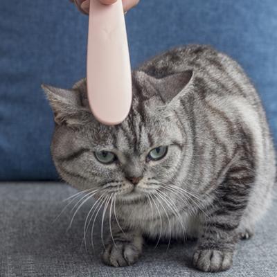 Pettine per Gatti Durevole Morbido Confortevole Spazzola Rimuovi Peli per Animali Forma di Lingua di Gatto Pettine per Toelettatura Animali Accessori per Animali