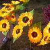 3 Head LED Solar Sunflower Waterproof LED Lights For Home Garden Patio Lawn Backyard Pathway Decoration