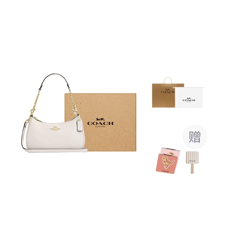COACH Teri Leather Crossbody Handbag, Shoulder Bag Medium Women's Chalk White CV934-IMCHK