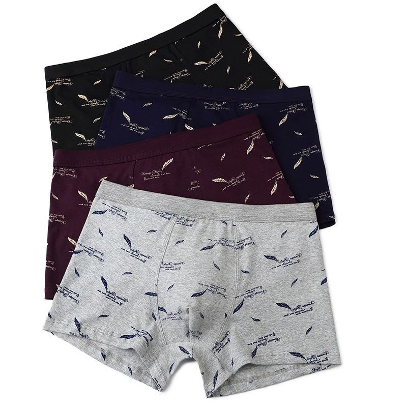 Printed Cotton Mens 3d Boxer Briefs