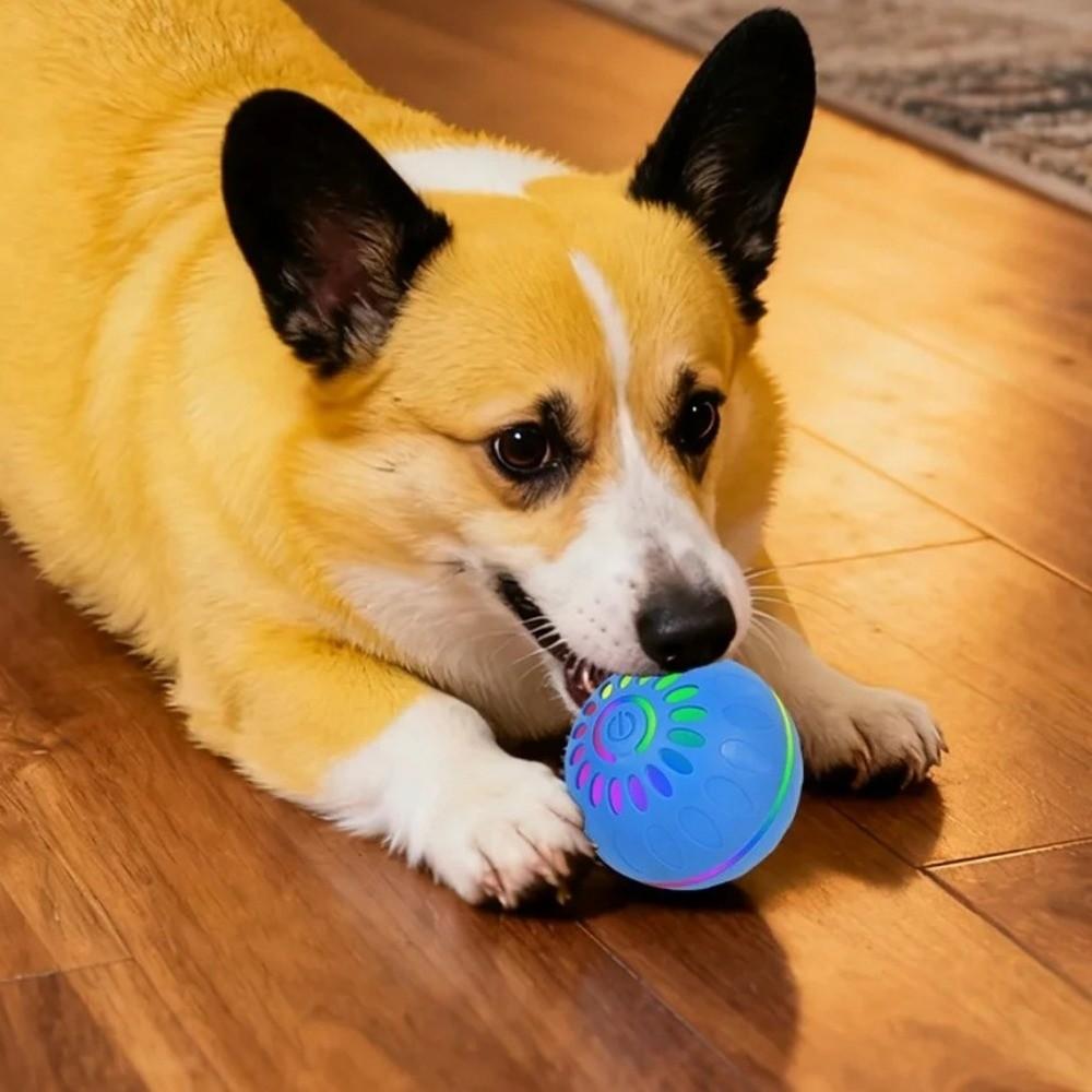 Rechargeable Interactive Rolling Ball Luminous Auto Moving Dog Toy Automatic  Dog Toy Ball  Dog