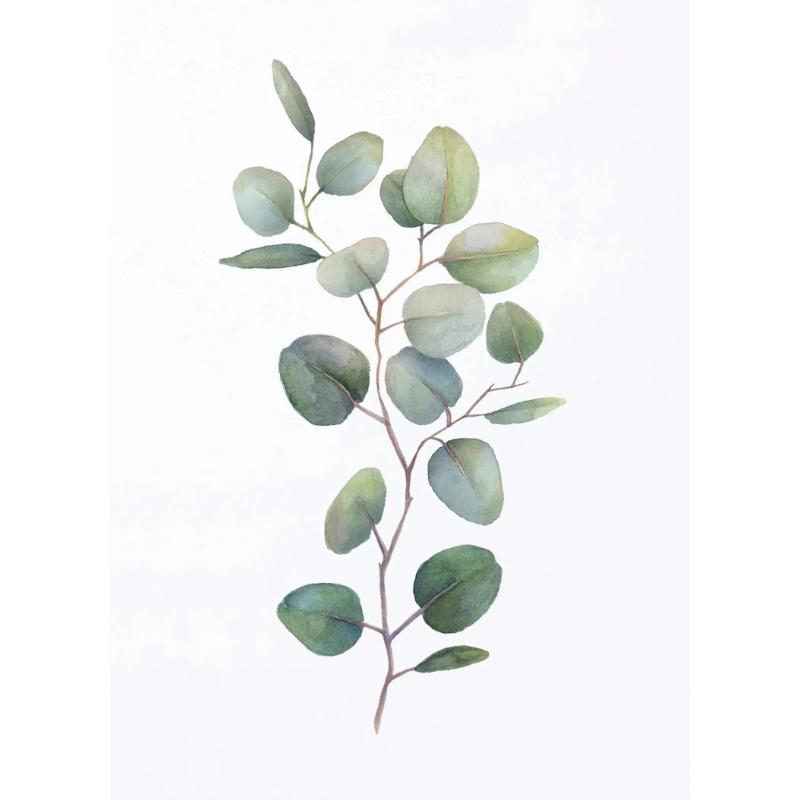 Akwarelowe Plakaty Liściowo Zielone Botaniczne Wydruki Eukaliptusa Obraz na Płótnie Sztuka Ścienna Obrazy do Salonu Dekoracja Domu