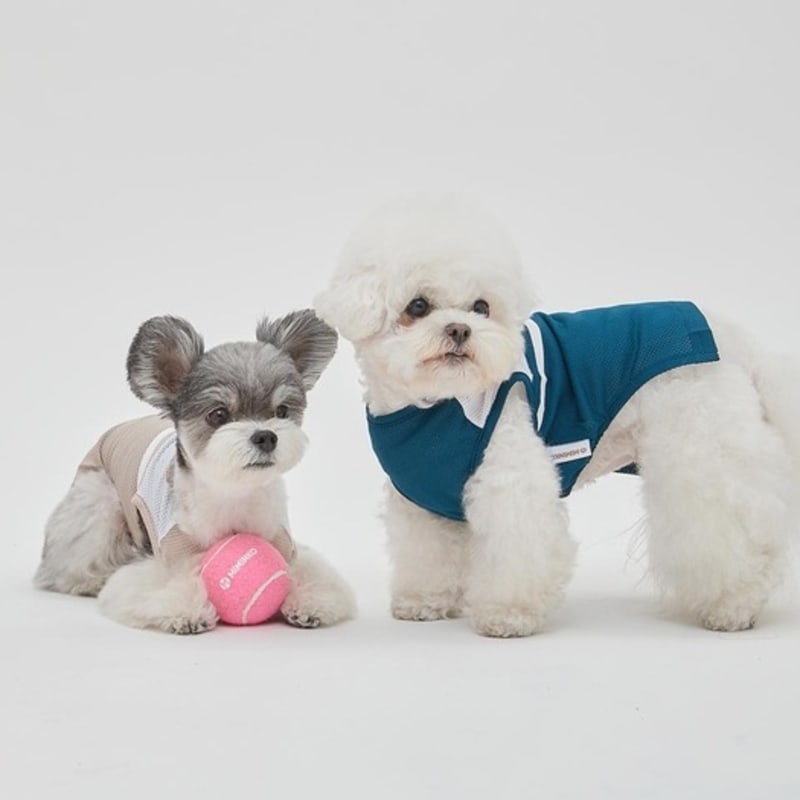 MIMINKO Cheerleader Mesh T-Shirt [DW4MT1130]