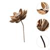 Dried Flower Arrangement in Vase, DIY Centerpiece for Bedroom and Event Decor