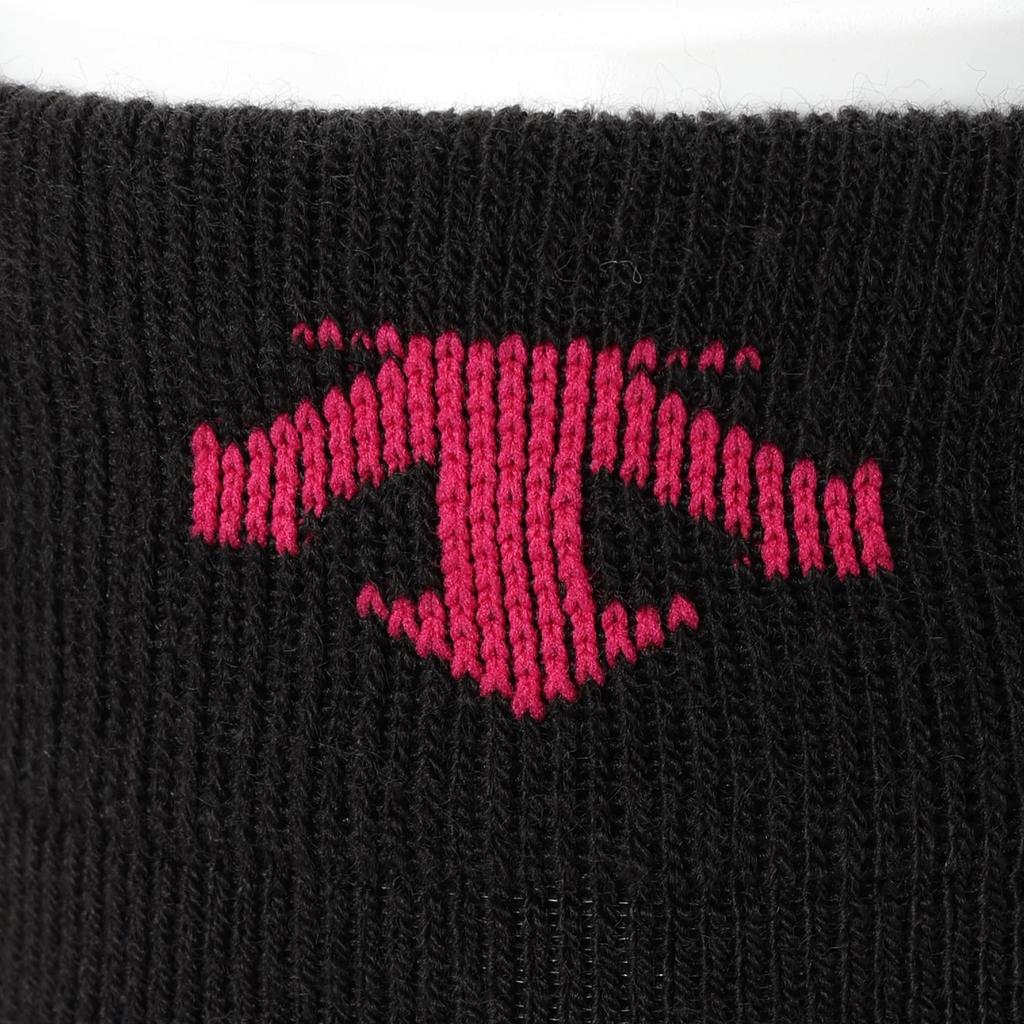 DESCENTE Odor Far Silver Ion Arch BK2 Men's Socks, Antibacterial, Resistant, Thermal, Infrared, (Ag+), Support, DWAWJB62,