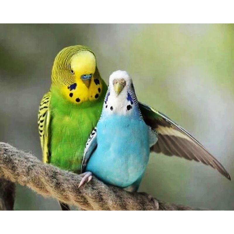 5D Diamond Painting Flower Bird Rhinestone Kit Diamond Embroidery Animal Cross Stitch Diamond Mosaic Home Decor