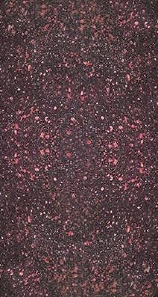 Kancharo Tarot Card Set Busca Tarot Museum Quality Includes a Basic Japanese Tarot Card Instruction Manual and Pouch 78-Card [Sola - Line] (Authentic)