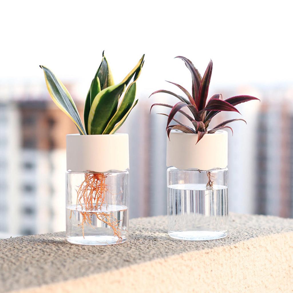 Hydroponic Nursery Pots Kit Seedling Plastic Plant Pot Gardening Accessories Garden Pots/pot Clear Plants Seeds Orchids System