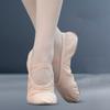 Ballet Dance Latin Dance Leather Canvas Girls Ballet Shoes Gils Shoes Flats Shoes Dance Shoes