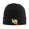 Chapéus e bonés – Gorros