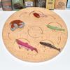 Montessori Plant & Animal Life Cycle Educational Toy Set for Early Learning