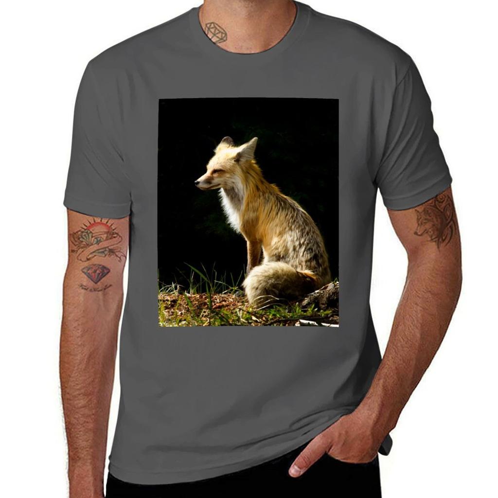 Red Fox Vixen 4226 TShirt Soft AntiShrink Cotton Tee TShirt