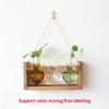 Modern Heart Shape Glass Vases Set With Wooden Frame Suitable For Hydroponic Plant Florals Displays And Home Styling