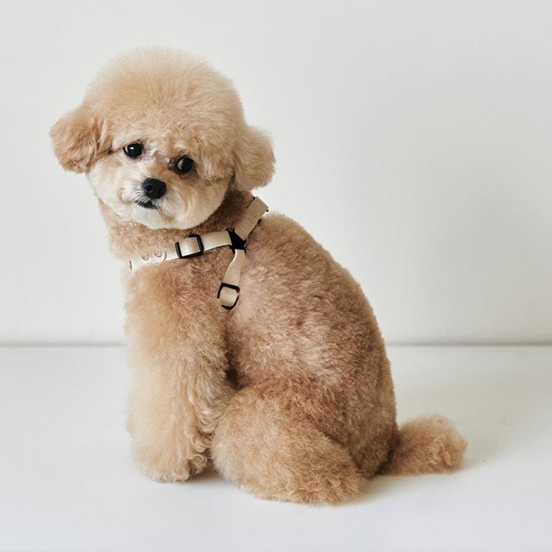 PU Leather Dog Harness and Leash Set Pet Harness for Small Dogs Teddy Bichon Comfortable Dog Harness Vest Leash Pet Supplies