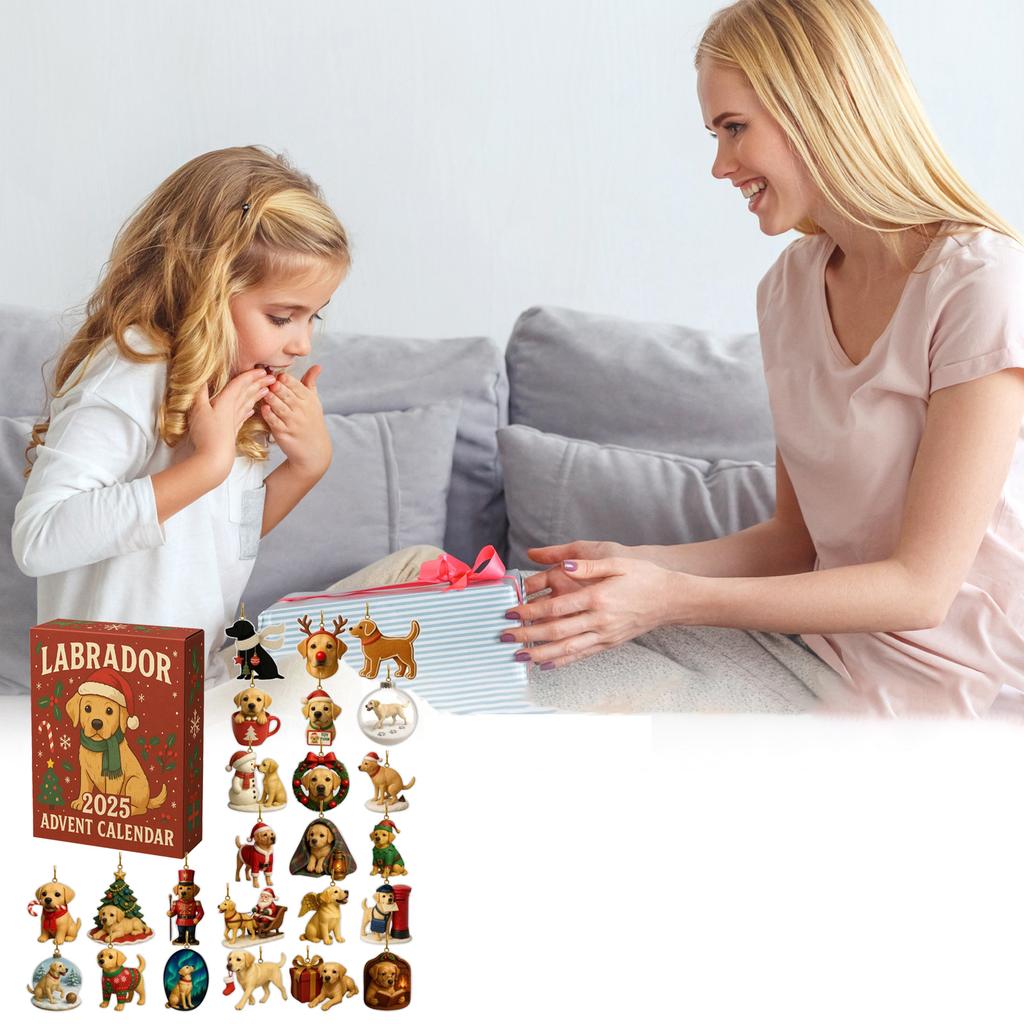 2D Plochý Akrylový Mystery Box 24ks Přívěsek s Krabičkou Letadla Zábavný Vánoční Odpočítávací Kalendář