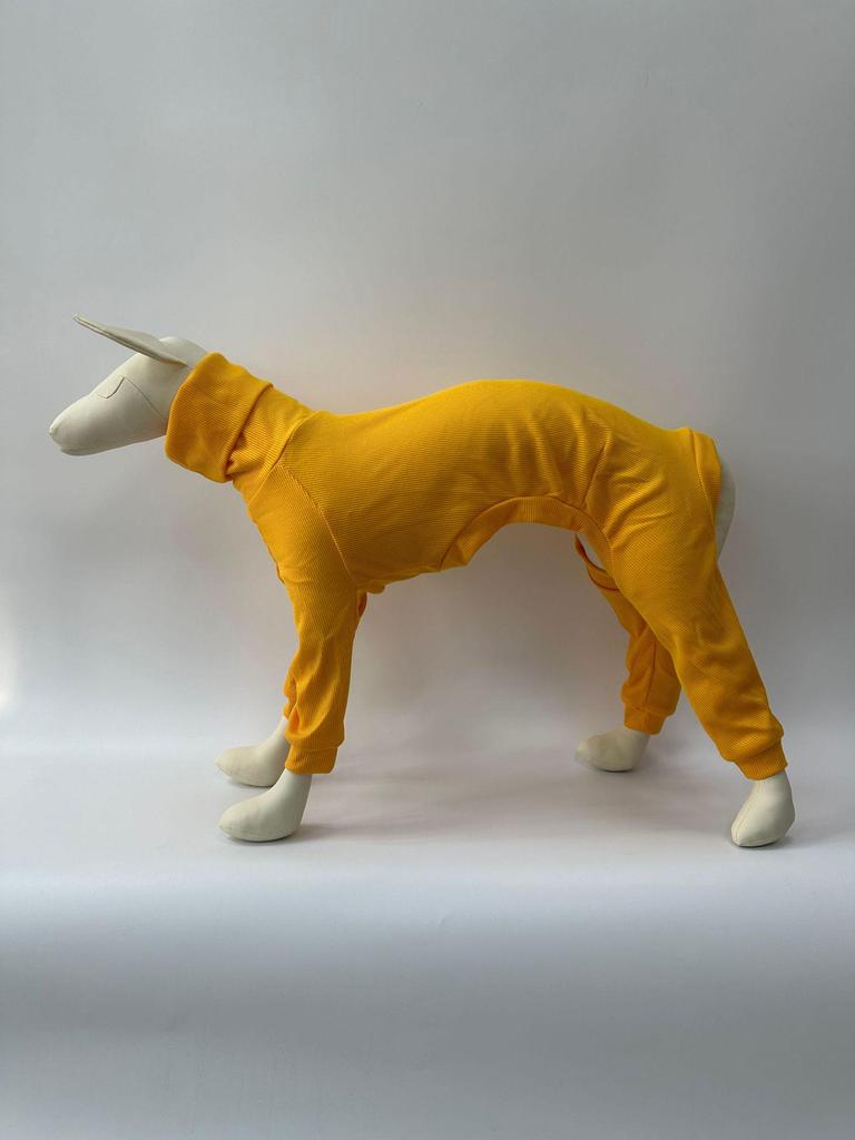 European & American Solid Color High-Neck Slim Fit Ribbed Dog Clothes for Autumn & Winter.