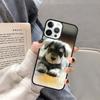 Cute Miniature Schnauzer Puppy Phone Case Cover for iPhone 17 Air 16 16e 15 13 14 11 12 Pro Max Max Plus Coque Fundas Shell