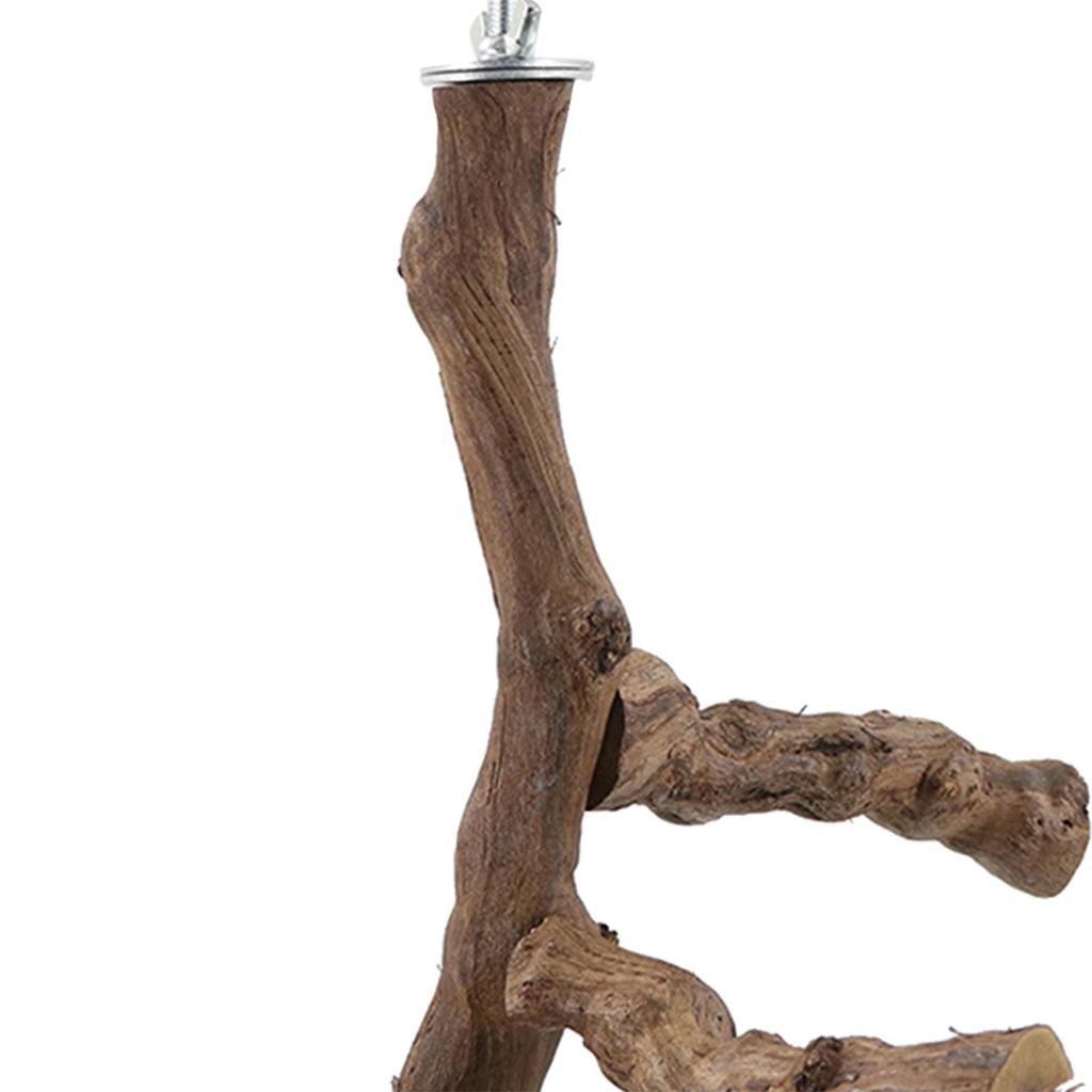 Holz Vogel Sitzstange Stand Aktivitätszentrum Papageien Sitzstange Plattform Holzständer Spielzeug für Kongas Nymphensittiche Wellensittiche Aras Liebesvögel
