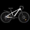 Fengsheng Adult Mountain Bike
