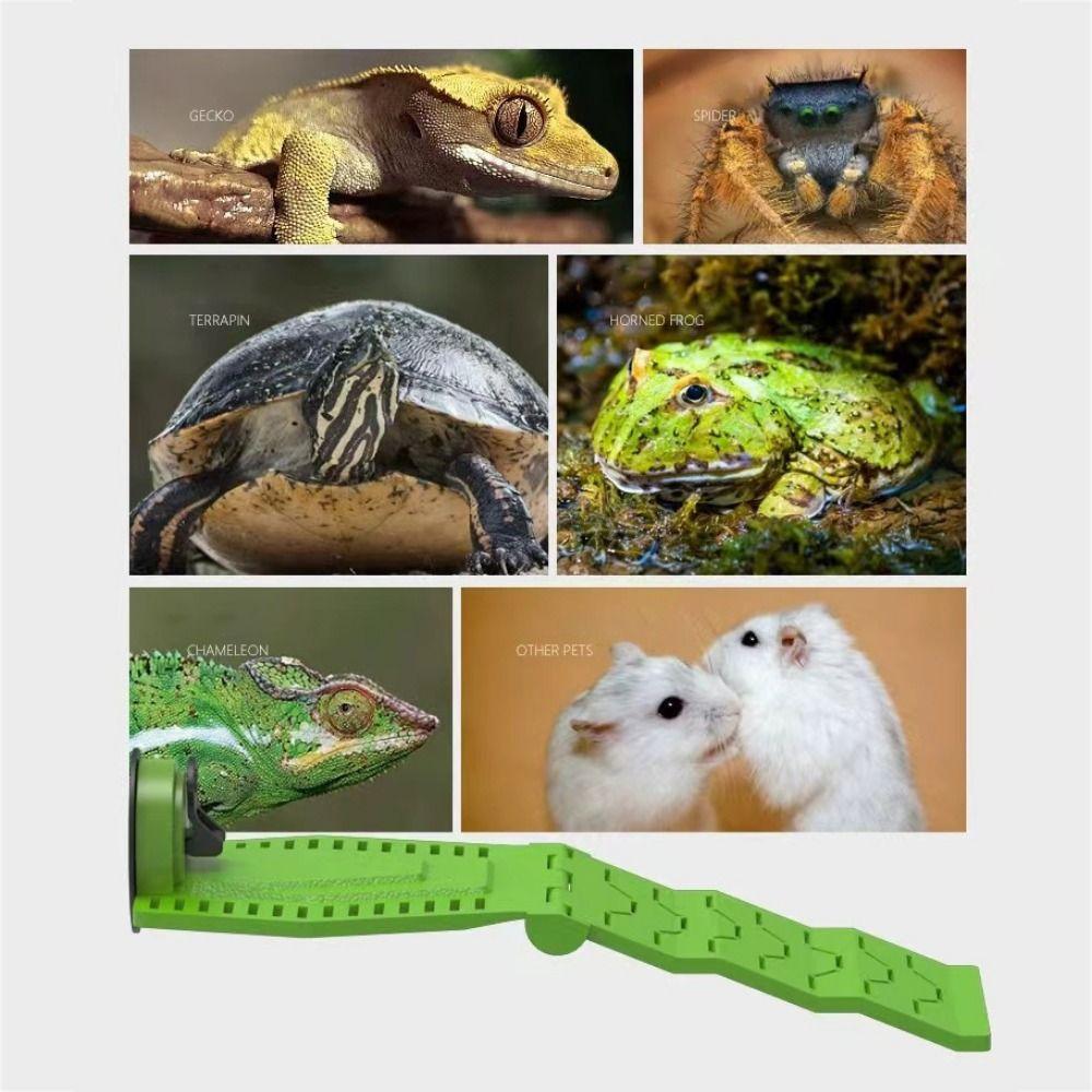 Folding Turtle Basking Ramp PVC Turtle Basking Platform Turtle Resting Terrace For Turtles Frogs