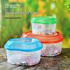Compact Transparent Plastic Fish & Turtle Tank with Climbing Platform