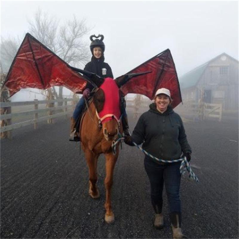 Breathable Horse Mask Insect Fly Protection Equine Gear Equestrian Supplies Durable Comfortable Fit Mosquito Shield For Horses