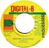 7-Zoll-Schallplatte DETERMINE Welcome Shaka Zulu NONE DigitalB 1995 Jamaika Reggae Ska Dub Gebraucht