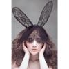 Sexy Lingerie Uniform Seduction Accessories Headband Lace Veil Ball Mask Rabbit Ears Queen Mask