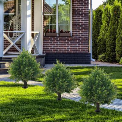 Árvores de topiaria de cedro artificial Plantas de topiaria de vegetação falsa Arbustos artificiais perenes Arbustos