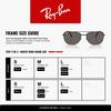 Sunglasses 0RB3755 BLACK DARK GREY Polarized [Ray-Ban] (Black/Dark Grey) 002/B159