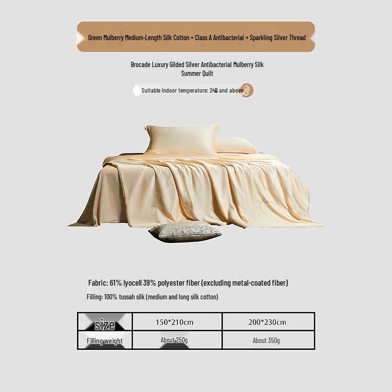 

Mercury Home Textiles Tussah Silk Summer Quilt