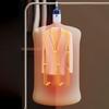 Timer Controlled Compact Dryer with Auto Shut Off Safety Foldable Design for Easy Storage Quiet Operation 110V