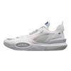 Li Ning Glare X  All City 10 We Are 1 Artist Collaboration Non-Slip Wear-Resistant Breathable Low-Top Basketball Shoes Men Sneaker ABAS019-6