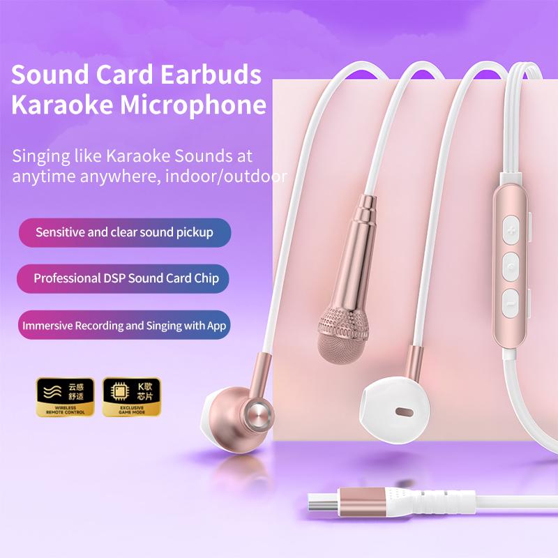 Type-C For Live Broadcast Karaoke Earphones With Sound Card Headphones With 2 HD Mic In-ear Surround Sound Headsets for Samsung