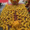 Junli Traditional Lion Dance Head & Costume Set