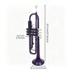 Trumpets Set for Beginner, Brass Student Instrument with Case, Cleaning Kit, Mouthpiece and