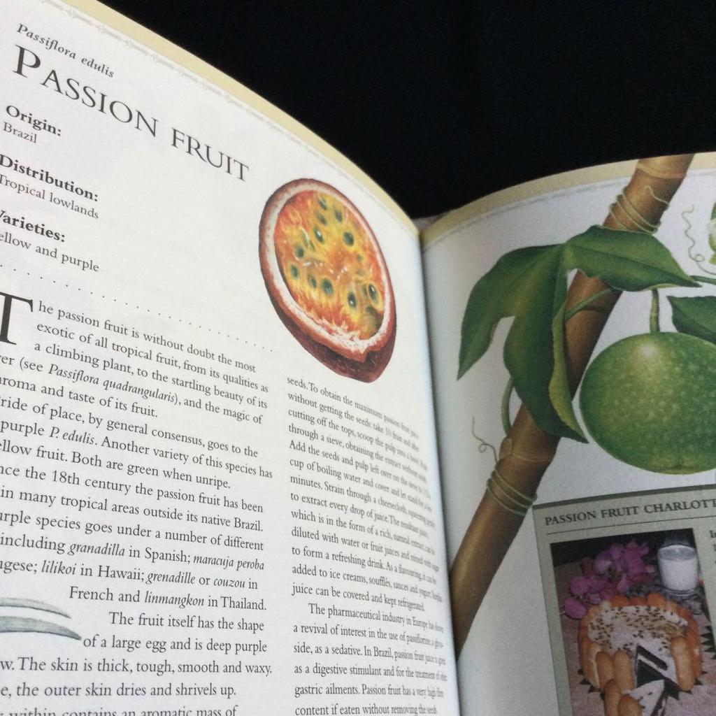 [USED] Tropical Fruits Encyclopedia Indonesia Fruits Illustrations Foreign Books English