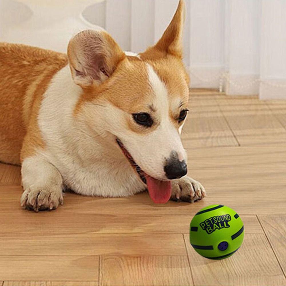 Durable Dog Toy Ball Interactive Fun Sounds Chew-Resistant Toy Bite-resistant Wear-resistant Puppy Wrestling Toy Pets Play