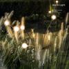 Waterproof Solar Firefly Garden Lights for Lawn and Courtyard Atmosphere