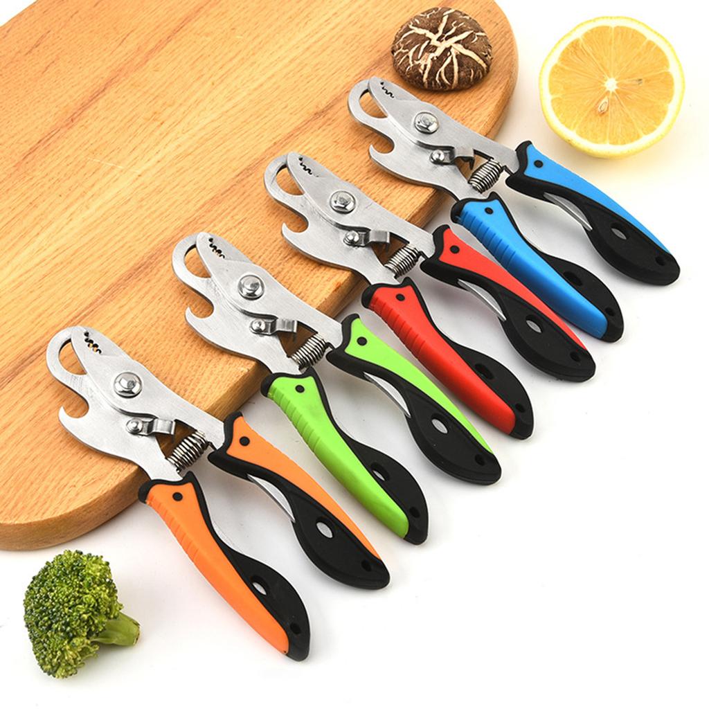 Schneckenschwanz Schneidwerkzeug Edelstahl Escargot Schere Schneckenzange mit Gummigriff für präzise Schneckenverarbeitung