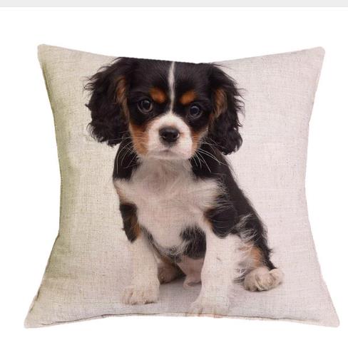 Cavalier King Charles Spaniel 45X45Cm Pillowcase Bedroom Sofa Home Decor