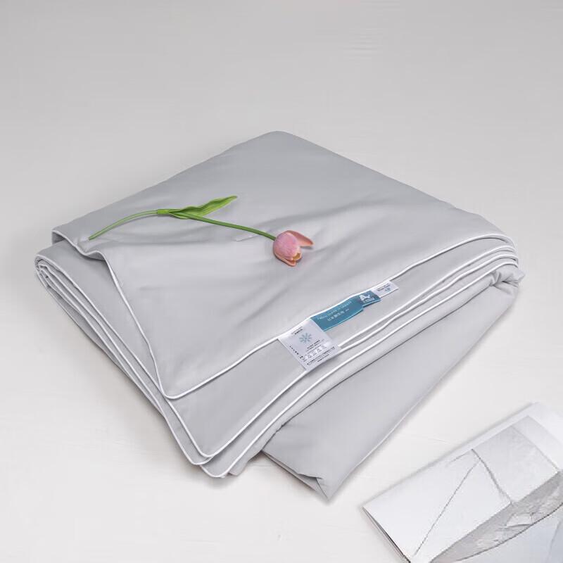 

Doushu Cooling Silk Summer Quilt