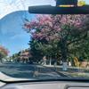 Universal Anti-Glare Polarized Sun Visor Extender, Easy to Install, Sun Visor Extension, Protects Against Glare, UV Rays