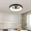 19.6 Inchs Household LED Lighting Electric Fan Electric Ceiling Fan Light Bedroom Strong Wind DC Ceiling Fan Lamp
