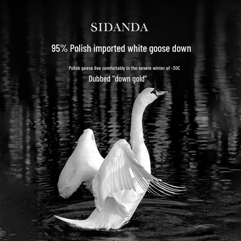 SIDANDA Polish White Goose Down Quilt