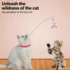 Collar Teasing Stick Replaceable Head Fun Toy For Cats Feather And Silicone Collar Toy