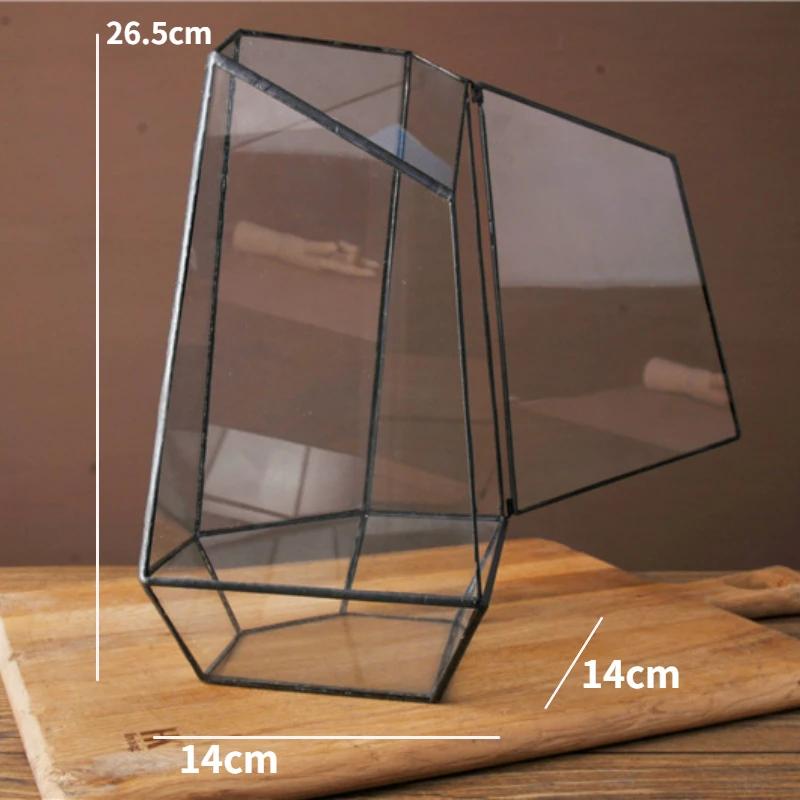 

Micro Landscape Planter Moss Rainforest Tank Geometric Glass Flower Room Irregular Ecological Vase Succulent Water Plant Vase