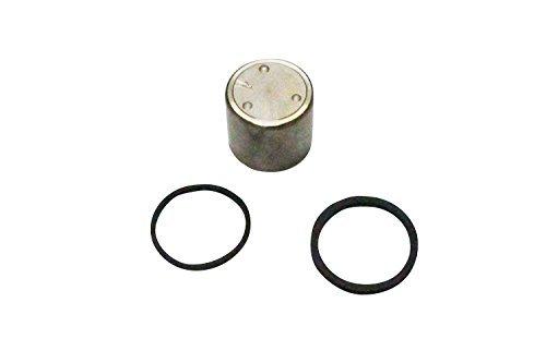 

Genuine Yamaha Parts: Rear Caliper Piston Assembly for Honda Cygnus X (Model 4) (Part Number: 2JS-W0057-10990464)