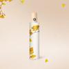 Accessoires – Regenschirme